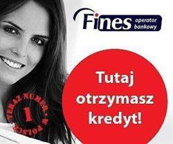 Fines, Wolsztyn godziny otwarcia