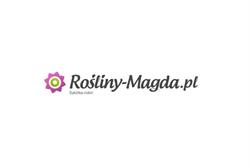 Szkółka Roślin "Magda" Lublin - Byliny, Trawy, Pnącza i Róże Ogrodowe, Nadrybie-Dwór godziny otwarcia