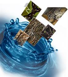 HydroCarDesign - Hydrografika, Tymbark godziny otwarcia