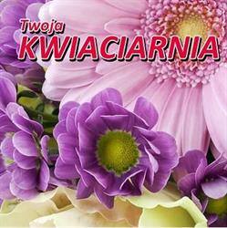 Twoja Kwiaciarnia, Andrespol godziny otwarcia