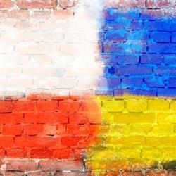Bank Żywności. Fundacja, Ciechanów godziny otwarcia
