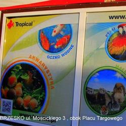 Sklep Zoologiczno-wędkarski "kira", Brzesko godziny otwarcia