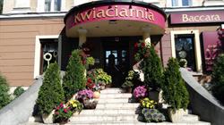 Kwiaciarnia Baccara, Radom godziny otwarcia
