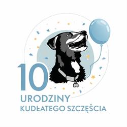 Przychodnia Weterynaryjna Kudłate Szczęście, Sulęcin godziny otwarcia