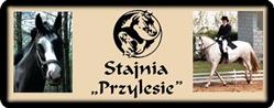 Przylesie. Stajnia, Sobienki godziny otwarcia