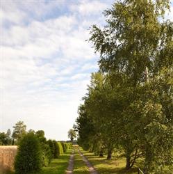 Agroturystyka SŁONECZNY DOMEK, Darłowo godziny otwarcia