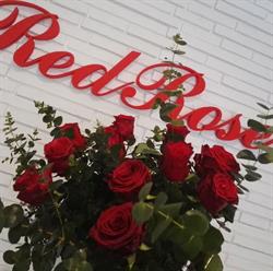 Kwiaciarnia "Red Rose", Opole godziny otwarcia