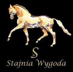 Stajnia Wygoda, Buk godziny otwarcia