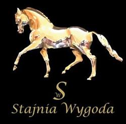 Stajnia Wygoda, Buk godziny otwarcia