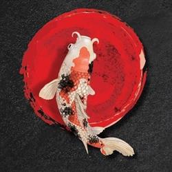 Hikari Koi Sushi, Warszawa godziny otwarcia