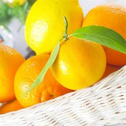 FHU Market Adam Cichuta Sklep Żabka, Rybnik godziny otwarcia