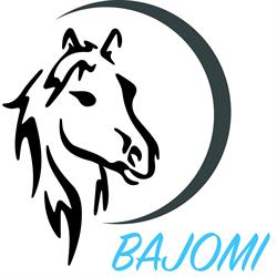 Sklep Jeździecki Bajomi Joanna Stebel, Drogomyśl godziny otwarcia