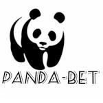 Pandabet Producent palisad obrzeży betonowych, Lipno godziny otwarcia