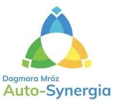 Auto Synergia Dagmara Mróz, Łódź - godziny otwarcia