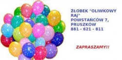 Oliwkowy raj Żłobek, Pruszków godziny otwarcia