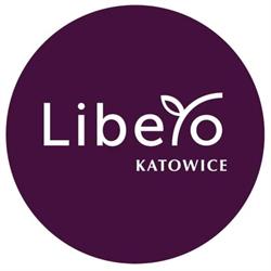 Lodowisko sezonowe LIBERO Katowice, godziny otwarcia