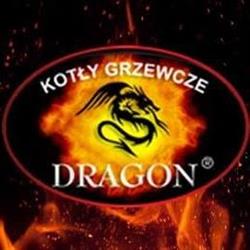 Kotły Grzewcze Dragon Sp. z o.o., Pleszew godziny otwarcia