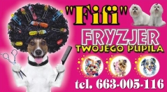 Salon strzyżenia, pielęgnacji psów i kotów "Fifi". Fryzjer Twojego pupila, Inowrocław - godziny otwarcia