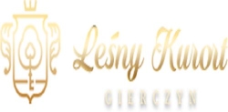 Leśny Kurort Hotel, Mirsk godziny otwarcia