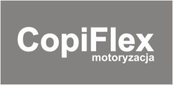 CopiFlex Auto Mechanik Blacharz Lakiernik, Płock godziny otwarcia