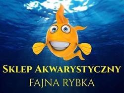 Fajna Rybka, Kraków godziny otwarcia