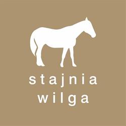 Stajnia Wilga - jazdy konne, wycieczki, obozy jeździeckie, godziny otwarcia