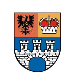 Powiat Gostyniński, Gostynin godziny otwarcia
