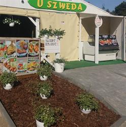 Bar u Szweda, Krynica Morska godziny otwarcia