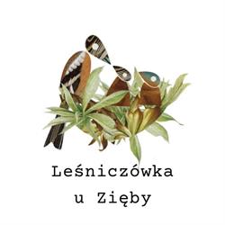 Leśniczówka u Zięby, Witów godziny otwarcia