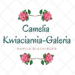 Sklep Camelia Kamila Blechinger - kwiaciarnia/galeria, Bardo godziny otwarcia