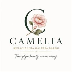 Sklep Camelia Kamila Blechinger - kwiaciarnia/galeria, Bardo godziny otwarcia