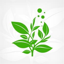Planta Garden - Sklep akwarystyczny, Lubin godziny otwarcia