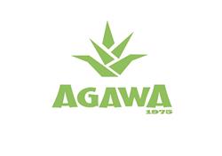 Agawa, Wyszków godziny otwarcia