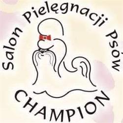Salon Pielęgnacji Psów "CHAMPION", Busko-Zdrój godziny otwarcia