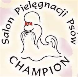 Salon Pielęgnacji Psów "CHAMPION", Busko-Zdrój godziny otwarcia
