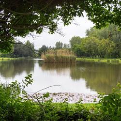 Towarzystwo Wędkarskie "Kościelec", Chrzanów godziny otwarcia