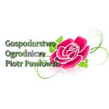 Gospodarstwo Ogrodnicze Piotr Pawłowski, Kazimierz godziny otwarcia