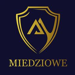 MIEDZIOWE CENTRUM FINANSOWE, Lubin godziny otwarcia
