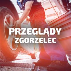 Przeglądy Rejestracyjne VEKTOR - Stacja Kontroli Pojazdów Zgorzelec, godziny otwarcia