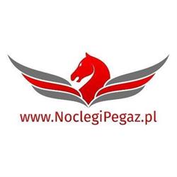 Noclegi Pegaz, Piotrków Trybunalski godziny otwarcia