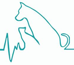 Przychodnia Weterynaryjna DogVet, Gorzów Wielkopolski godziny otwarcia