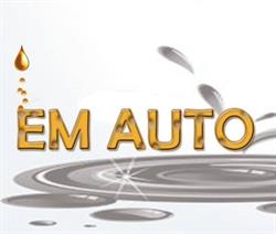 "EM AUTO" WYMIANA OLEJU , SERWIS KLIMATYZACJI, Brzeg godziny otwarcia