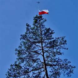 PANSTWOWE GOSPODARSTWO LESNE LASY PANSTWOWE NADLESNICTWO SIENIAWA, Sieniawa godziny otwarcia