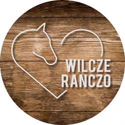 WILCZE RANCZO PL DOROTA CZINCZOL, Borkowo godziny otwarcia