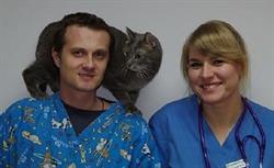 DOKTOR PIOTR GABINET WETERYNARYJNY PIOTR POLAK, Knurów godziny otwarcia
