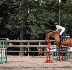 FARMA LAMA, Tylicz godziny otwarcia