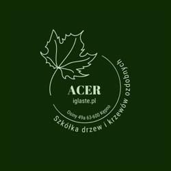 Rośliny do ogrodu Acer szkółka drzew i krzewów, Kępno godziny otwarcia
