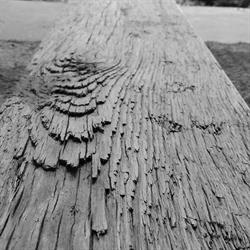 Woodfinish, Mętów godziny otwarcia