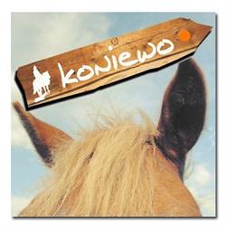 Koniewo - Górska Turystyka Konna i Hipoterapia, Dębrznik godziny otwarcia