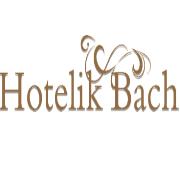 Pokoje Gdańsk Hotelik Bach Pokoje z Łazienkami Noclegi Gdańsk, godziny otwarcia